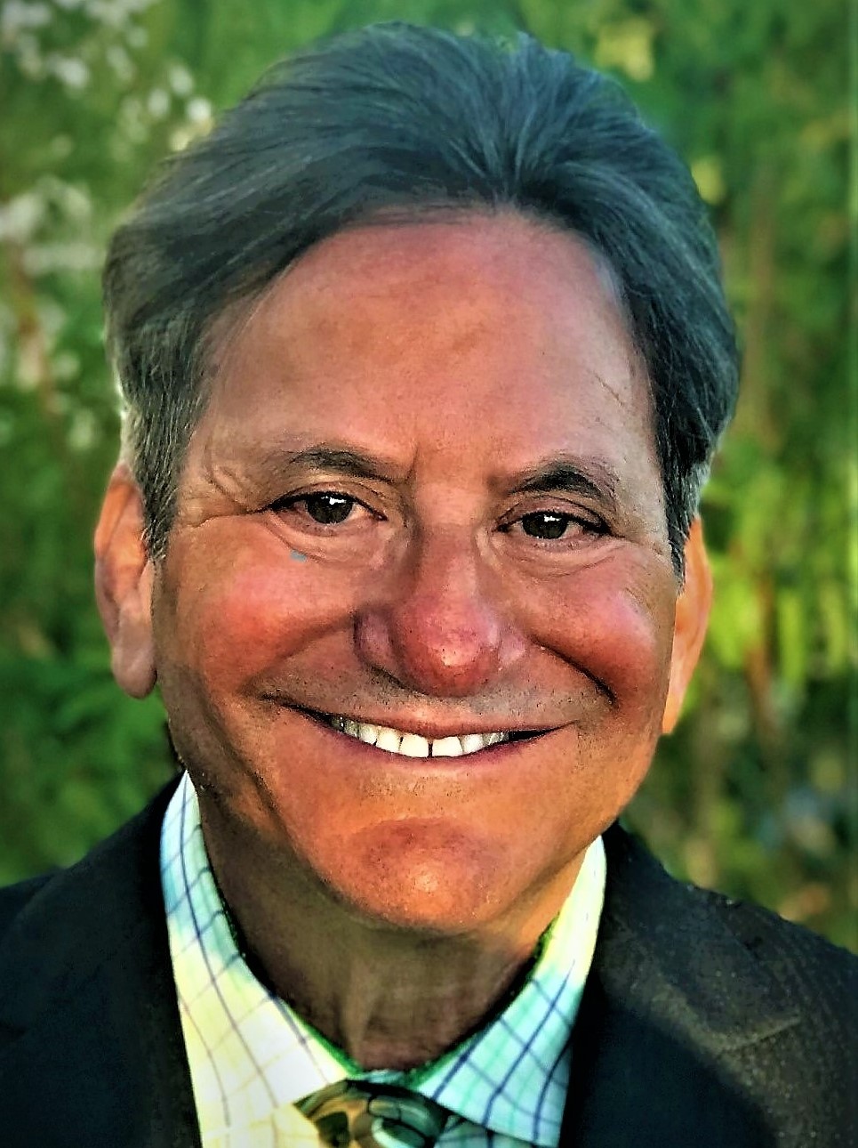 Mr Ronald M Lehman