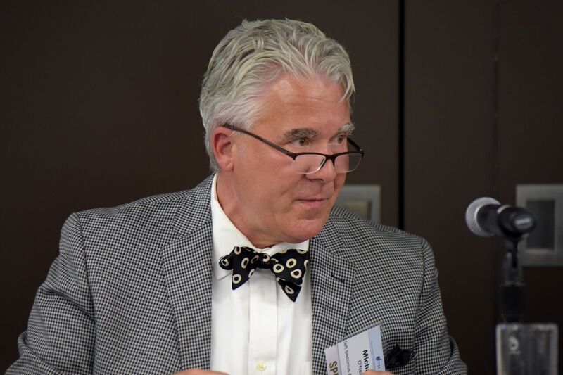 Mr Michael P O'Neil
